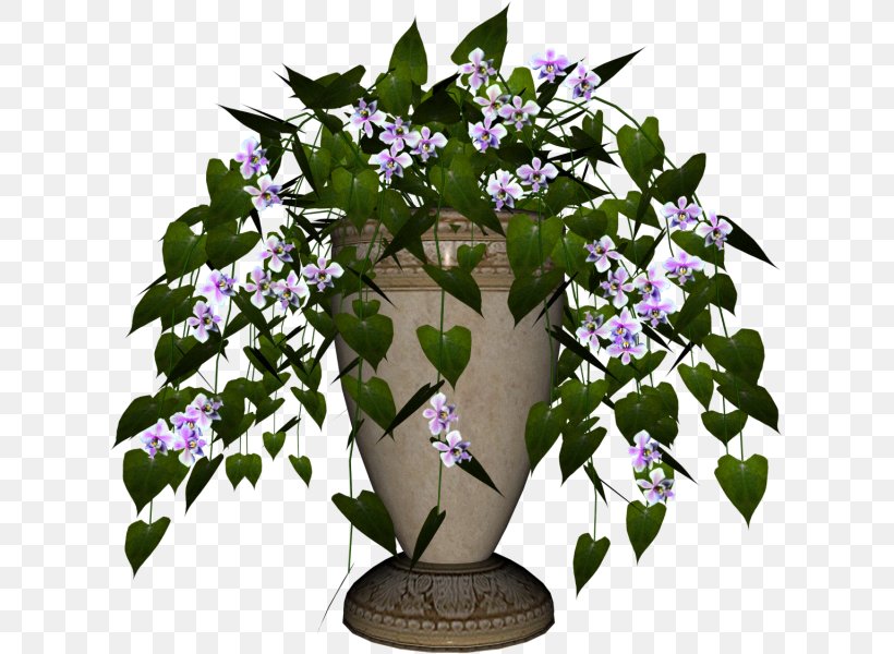 Floral Design Flowerpot Violet Houseplant, PNG, 617x600px, Floral Design, Branch, Family, Flora, Flower Download Free