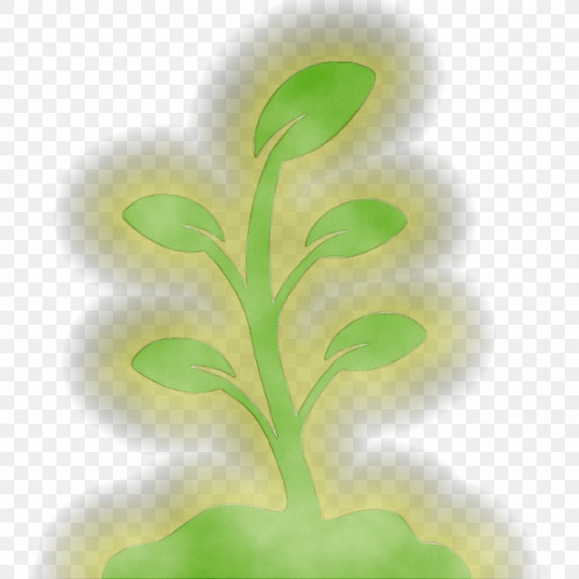 Leaf Plant Stem Tree Plants, PNG, 1053x1053px, Leaf, Aquarium Decor, Botany, Flower, Green Download Free
