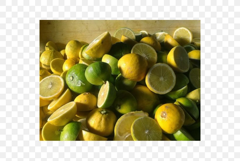 Sweet Lemon Key Lime Bergamot Orange Persian Lime, PNG, 550x550px, Lemon, Bergamot Orange, Bitter Orange, Calamondin, Citric Acid Download Free