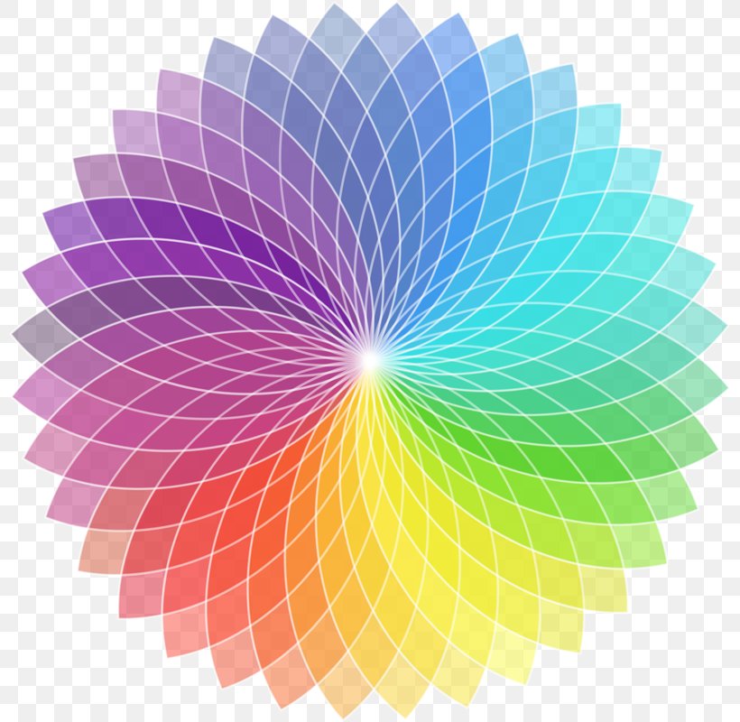 T-shirt Color Wheel Color Scheme, PNG, 800x800px, Tshirt, Analogous Colors, Art, Blue, Color Download Free