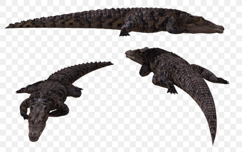 Alligator Crocodiles Animal, PNG, 1024x645px, Alligator, Animal, Animal Figure, Crocodile, Crocodiles Download Free