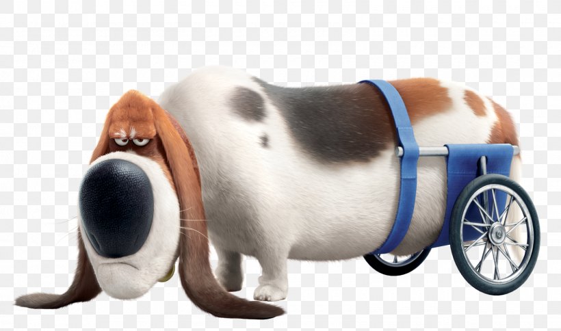 Basset Hound Gidget Universal Pictures Pet Illumination Entertainment, PNG, 1600x945px, Basset Hound, Chris Meledandri, Comedy, Dog, Dog Like Mammal Download Free