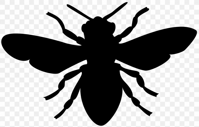 European Dark Bee Bumblebee Clip Art, PNG, 2400x1535px, Bee, Arthropod, Artwork, Black And White, Bumblebee Download Free