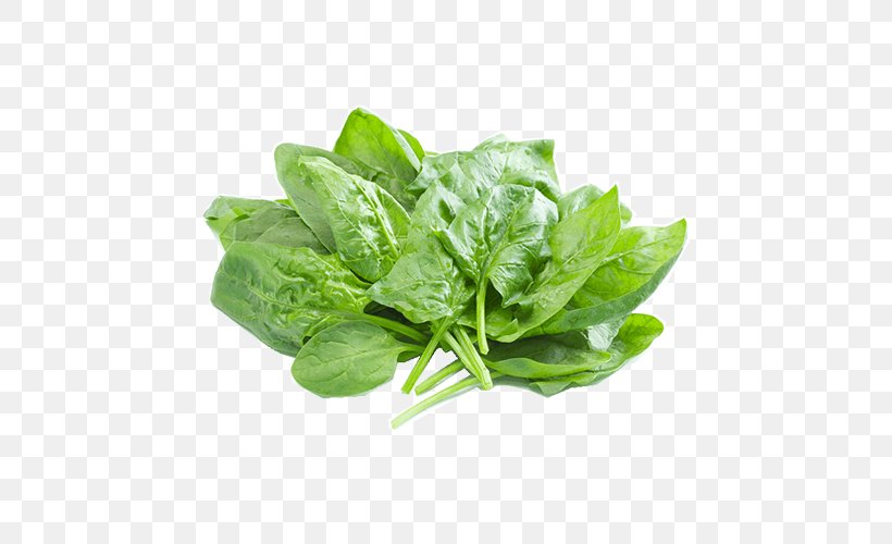 Leaf Vegetable Pickled Cucumber Food Spinach Restaurant, PNG, 600x500px, Leaf Vegetable, Basil, Broth, Choy Sum, Eating Download Free