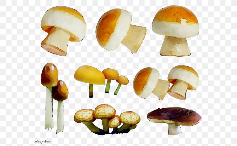 Mushroom Cartoon, PNG, 600x508px, Watercolor, Agaricaceae, Agaricomycetes, Agaricus, Bolete Download Free