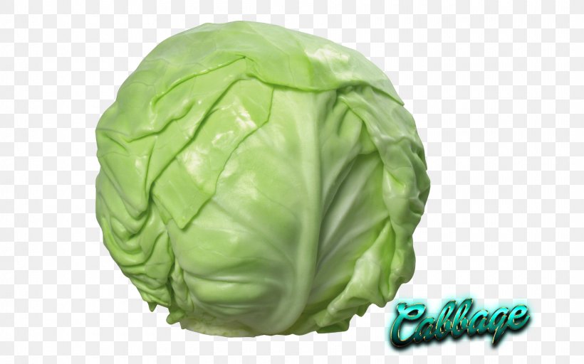 Red Cabbage Cauliflower Savoy Cabbage Napa Cabbage, PNG, 1920x1200px, Cabbage, Bok Choi, Brussels Sprouts, Cauliflower, Chinese Cabbage Download Free