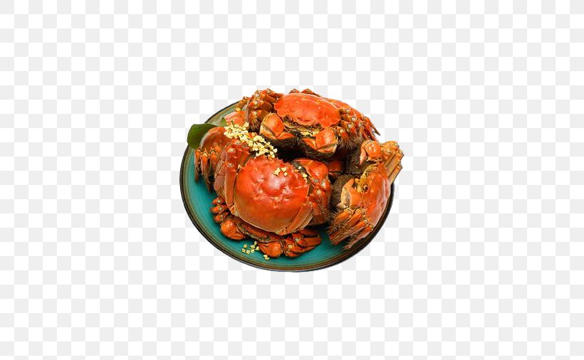 Yangcheng Lake Large Crab Lake Tai Chinese Mitten Crab, PNG, 506x506px, Yangcheng Lake, Animal Source Foods, Chinese Mitten Crab, Crab, Crab Meat Download Free