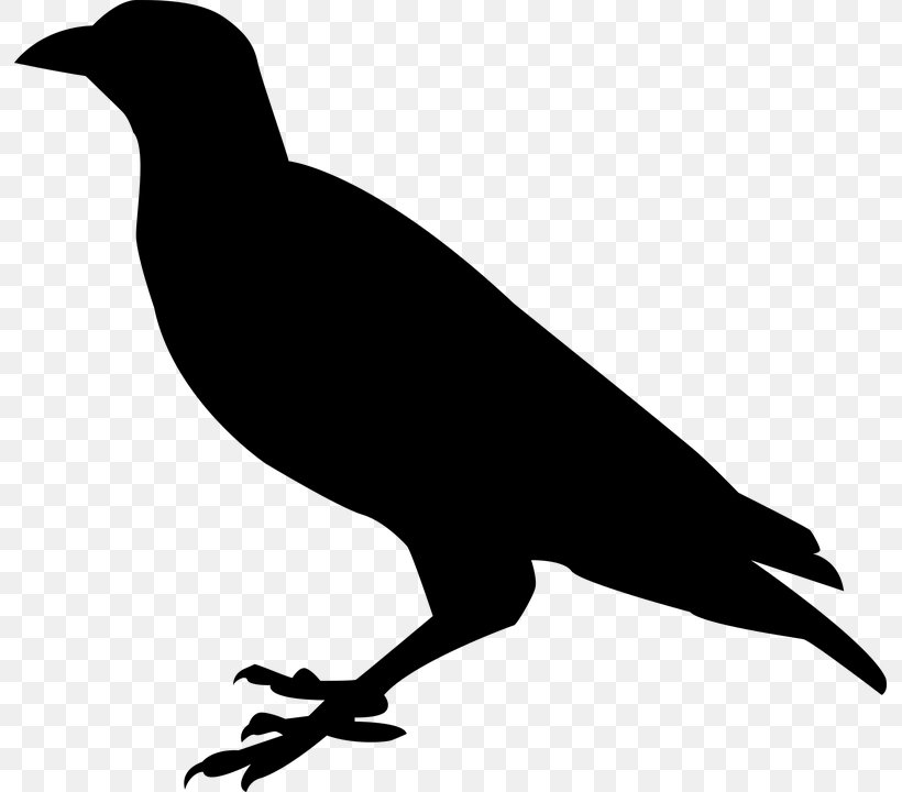 Beak Black And White Fauna Silhouette, PNG, 793x720px, Beak, Bird, Black, Black And White, Crow Download Free