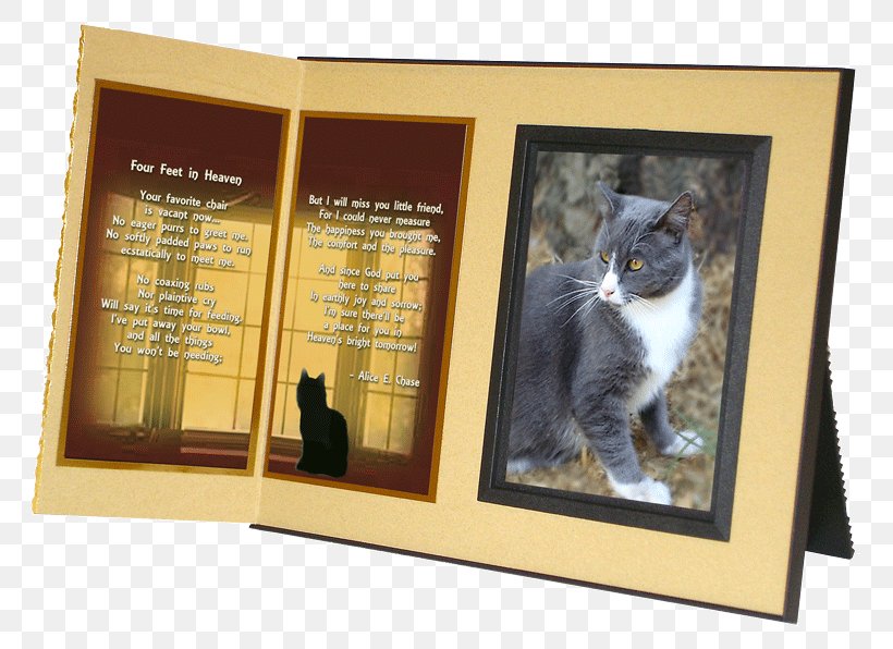 Dog Siamese Cat Pet Animal Loss Paw, PNG, 800x596px, Dog, Advertising, Animal Loss, Cat, Cat Like Mammal Download Free
