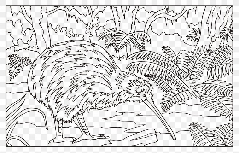 Flightless Bird Drawing Coloring Book, PNG, 2487x1594px, Bird, Animal, Area, Art, Beak Download Free