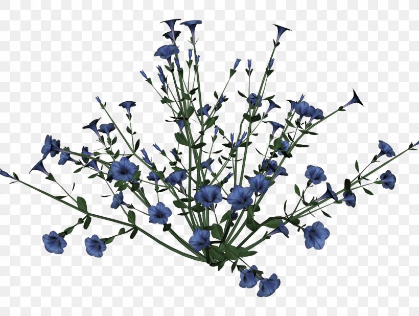 Flower Display Resolution Clip Art, PNG, 1500x1131px, Flower, Blue, Branch, Chicory, Cut Flowers Download Free