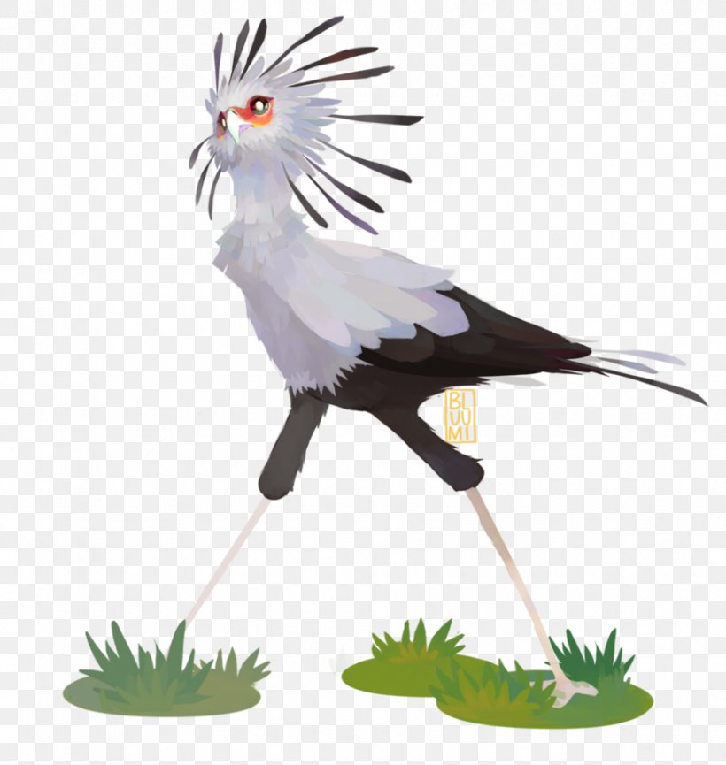 Secretarybird Vulture Crane, PNG, 870x918px, Bird, Administrative Professionals Day, Animal, Art, Beak Download Free