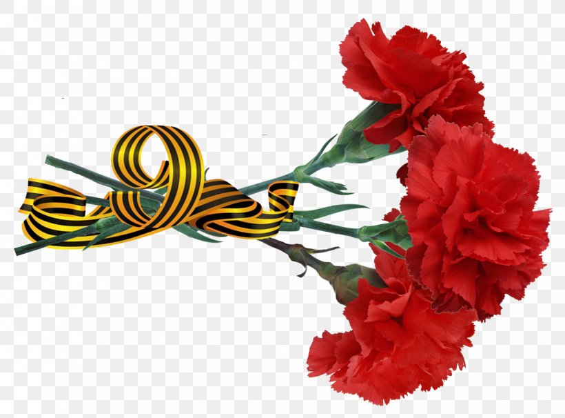 Victory Day Photography International Dance Day Clip Art, PNG, 1786x1322px, Victory Day, Carnation, Cut Flowers, Floral Design, Flower Download Free