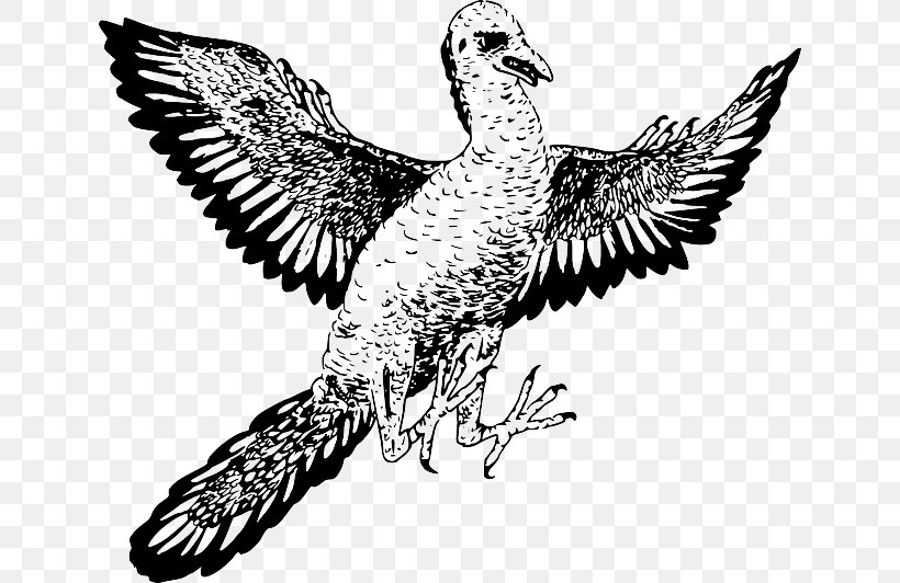 Archaeopteryx Microraptor Reptile Velociraptor Vertebrate, PNG, 640x532px, Archaeopteryx, Art, Beak, Bird, Bird Flight Download Free