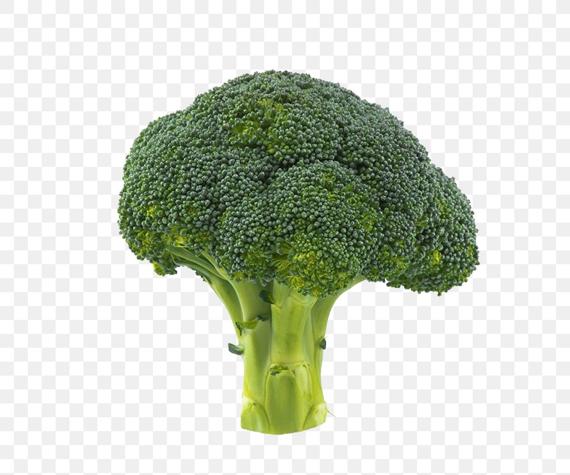 Broccoli Vegetable Cauliflower, PNG, 800x683px, Broccoli, Cauliflower, Flowerpot, Grass, Green Download Free