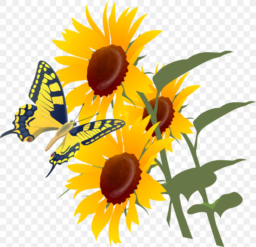 Sunflower Summer Flower, PNG, 911x880px, Sunflower, Bees, Common Sunflower, Honey, Honey Bee Download Free