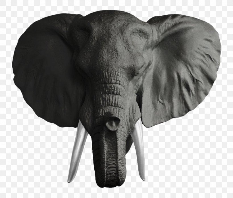 Indian Elephant African Elephant Elephantidae Deer Wall, PNG, 894x760px, Indian Elephant, African Elephant, Antler, Art, Black And White Download Free