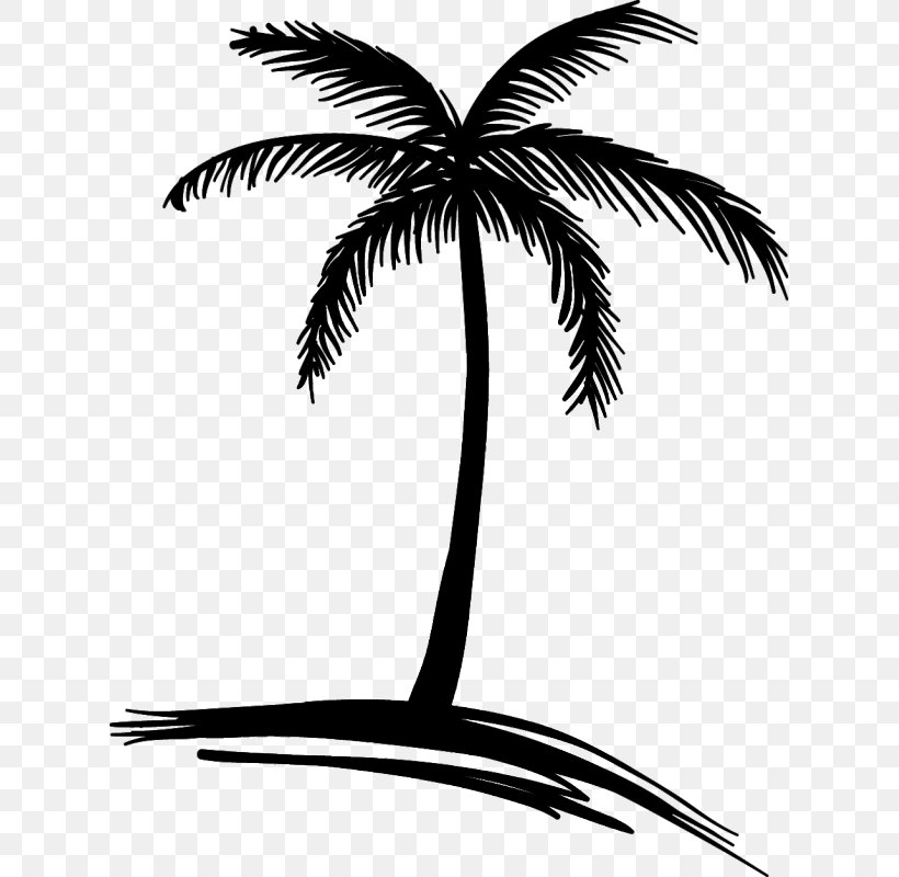 Logo Drawing Beach, PNG, 800x800px, Logo, Arecaceae, Arecales, Beach, Black And White Download Free