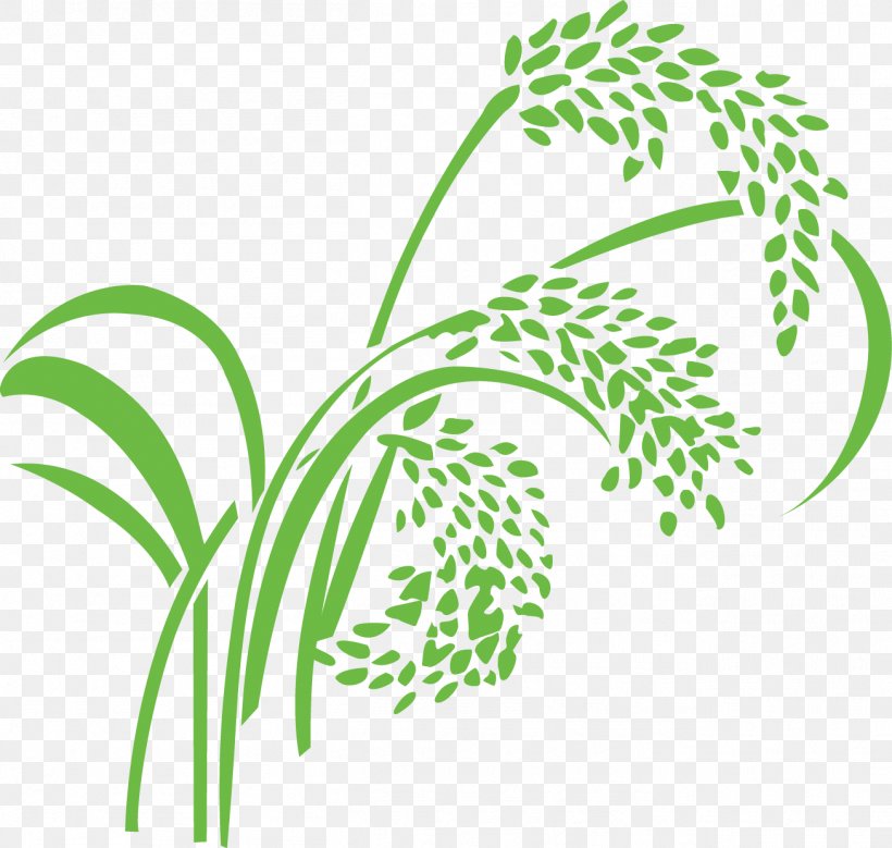 Rice Wheat Caryopsis, PNG, 1306x1241px, Rice, Branch, Broomcorn, Cartoon, Caryopsis Download Free