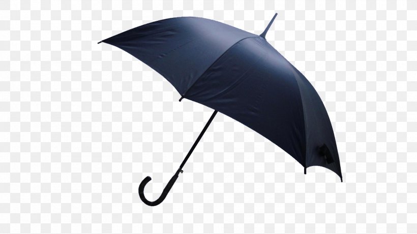 The Umbrellas Rain, PNG, 1920x1080px, Umbrella, Color, Company, Fashion, Fashion Accessory Download Free