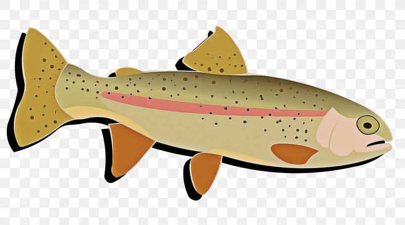 Fish Brown Trout Fish Trout Salmon, PNG, 1833x1018px, Fish, Bonyfish, Brown Trout, Coho, Cutthroat Trout Download Free