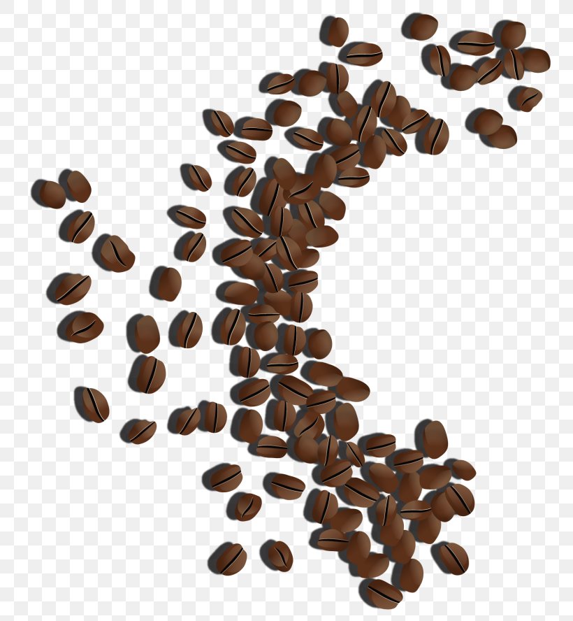 Jamaican Blue Mountain Coffee Coffee Bean White Coffee Single-origin Coffee, PNG, 768x888px, Coffee, Arabica Coffee, Bean, Caffeine, Coffea Download Free