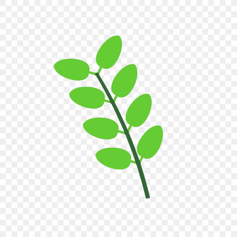 Leaf Plant Stem Line Branching Clip Art, PNG, 950x950px, Leaf, Branch, Branching, Grass, Green Download Free