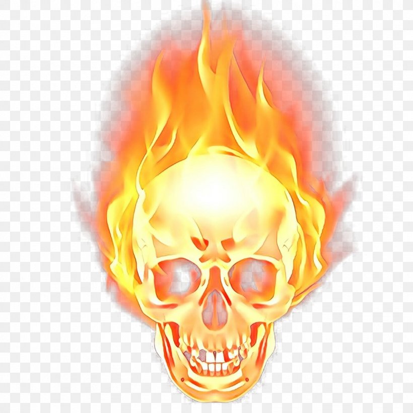 Orange, PNG, 1024x1024px, Cartoon, Bone, Fire, Flame, Head Download Free