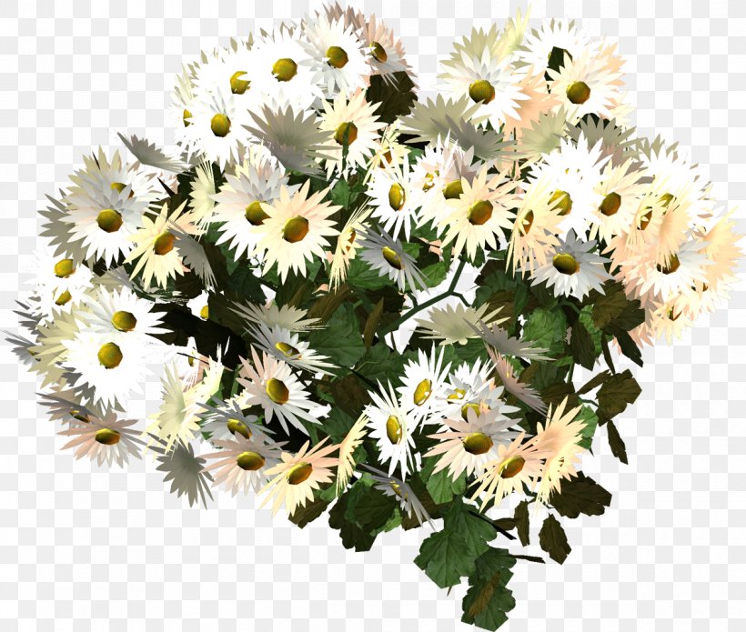 Dendranthema Lavandulifolium Oxeye Daisy German Chamomile Flower, PNG, 1200x1018px, Dendranthema Lavandulifolium, Chamomile, Chrysanthemum, Chrysanths, Cut Flowers Download Free