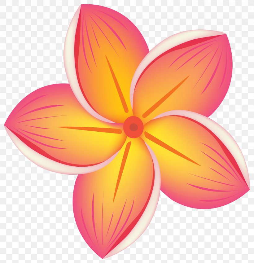 Flower Clip Art, PNG, 2896x3000px, Flower, Blog, Document, Orange, Peach Download Free
