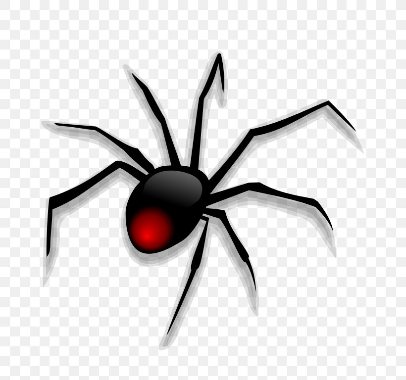 Spider Cartoon Clip Art, PNG, 768x768px, Spider, Arachnid, Arthropod, Black House Spider, Black Widow Download Free