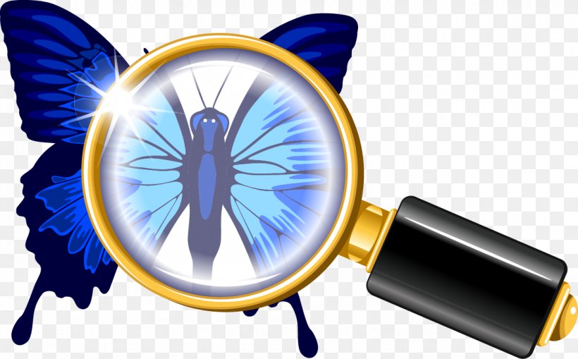 Butterfly Magnifying Glass Euclidean Vector Illustration, PNG, 1122x697px, Butterfly, Butterflies And Moths, Glass, Magnifying Glass, Megaphone Download Free