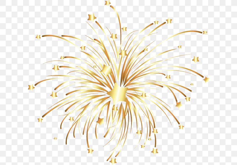 Fireworks Euclidean Vector, PNG, 628x569px, Fireworks, Computer Graphics, Flower, Flowering Plant, Gold Download Free