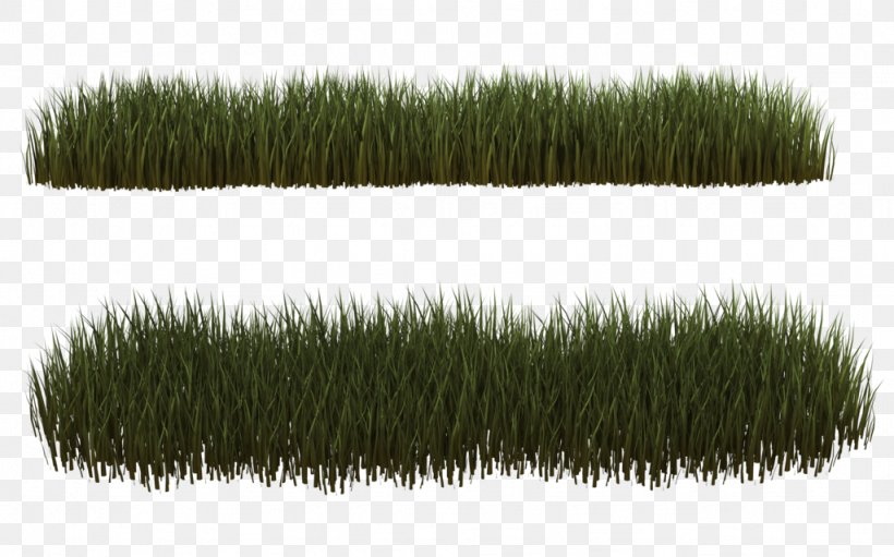 Lawn Grasses Drawing Clip Art, PNG, 1024x639px, Lawn, Deviantart, Drawing, Garden, Grass Download Free