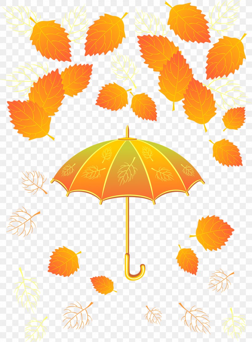 Autumn Umbrella T-shirt Leaf, PNG, 1903x2582px, Autumn, Color, Leaf, Maple Leaf, Orange Download Free