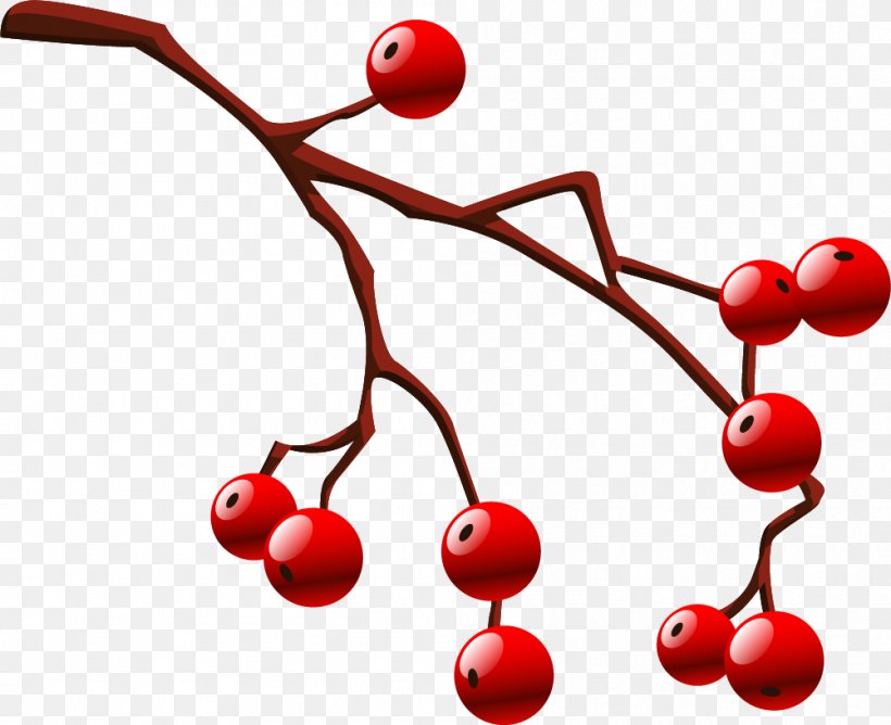 Cherry Red Drawing, PNG, 1001x816px, Cherry, Cartoon, Cerise, Drawing, Fruit Download Free