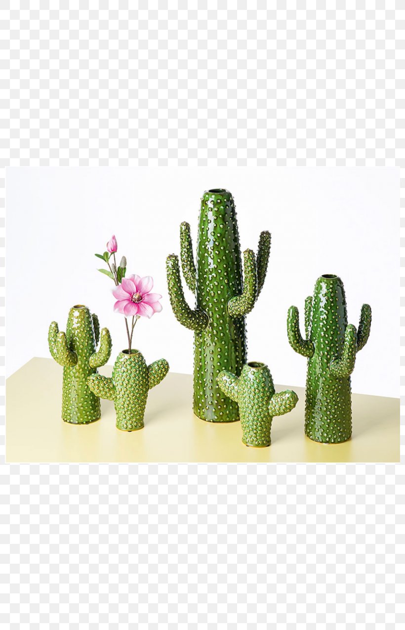 Flowerpot Ceramic Decorative Arts Plant Energy, PNG, 800x1274px, Flowerpot, Auglis, Bird, Cactus, Caryophyllales Download Free