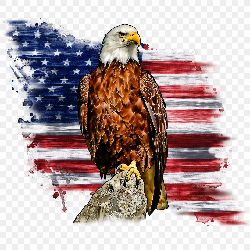 Bald Eagle Liberty Bell Flag Of The United States T-shirt, PNG, 4200x4200px, Bald Eagle, Accipitriformes, American Eagle Outfitters, Beak, Bird Download Free
