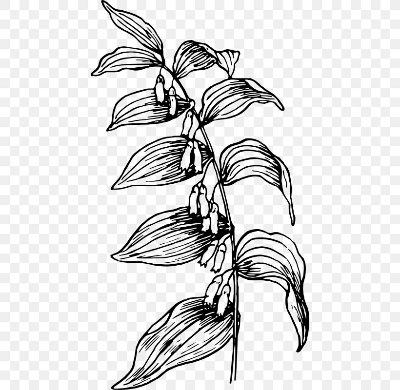 Branch Flower Plant Stem Line Art Clip Art, PNG, 450x800px, Branch, Artwork, Bird Of Paradise Flower, Black And White, Drawing Download Free