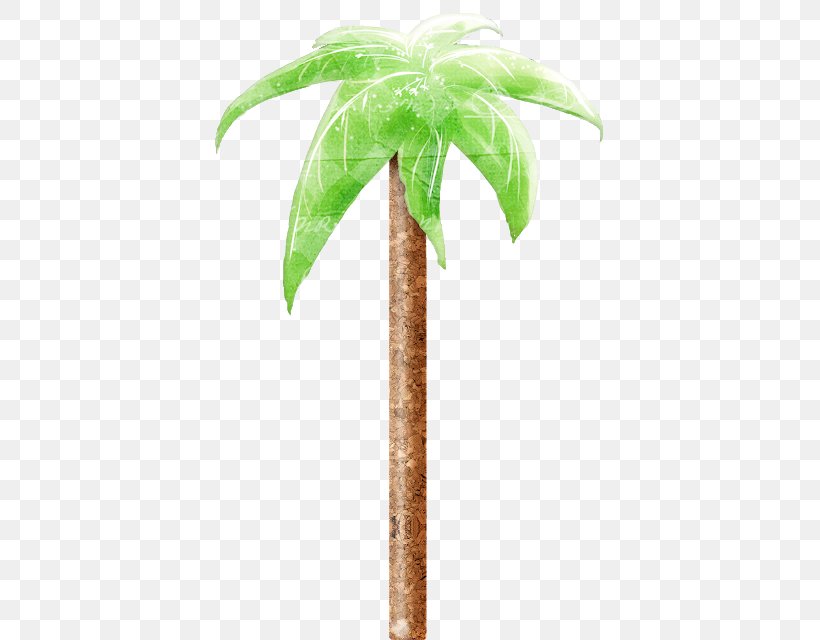 Coconut Palm Trees Flowerpot Date Palm Plants, PNG, 408x640px, Coconut, Arecales, Date Palm, Date Palms, Flower Download Free