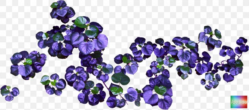 Cut Flowers Violet Clip Art, PNG, 1000x445px, Flower, Baner, Bead, Blue, Bluebonnet Download Free