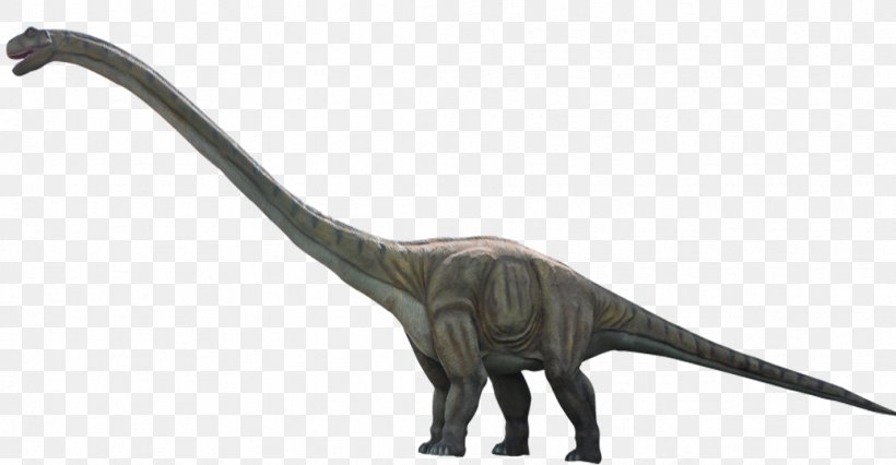 Dinosaur Alamosaurus Velociraptor, PNG, 1036x539px, Seismosaurus, Alamosaurus, Animal Figure, Brachiosaurus, Digital Image Download Free