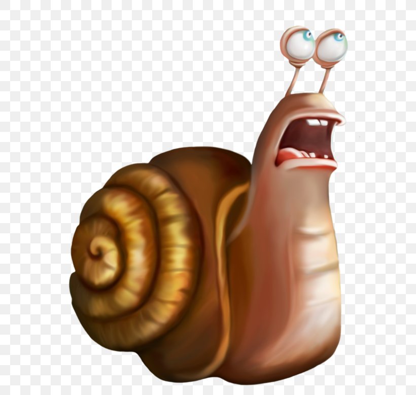 Snail Cartoon Orthogastropoda, PNG, 600x779px, Watercolor, Cartoon, Flower, Frame, Heart Download Free