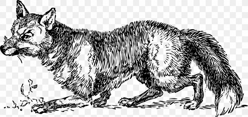 Arctic Fox Drawing, PNG, 2399x1134px, Fox, Arctic Fox, Art, Artwork, Black And White Download Free
