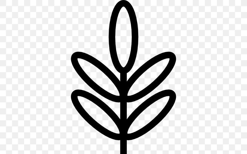 Wattles Clip Art, PNG, 512x512px, Wattles, Artwork, Black And White, Flower, Leaf Download Free