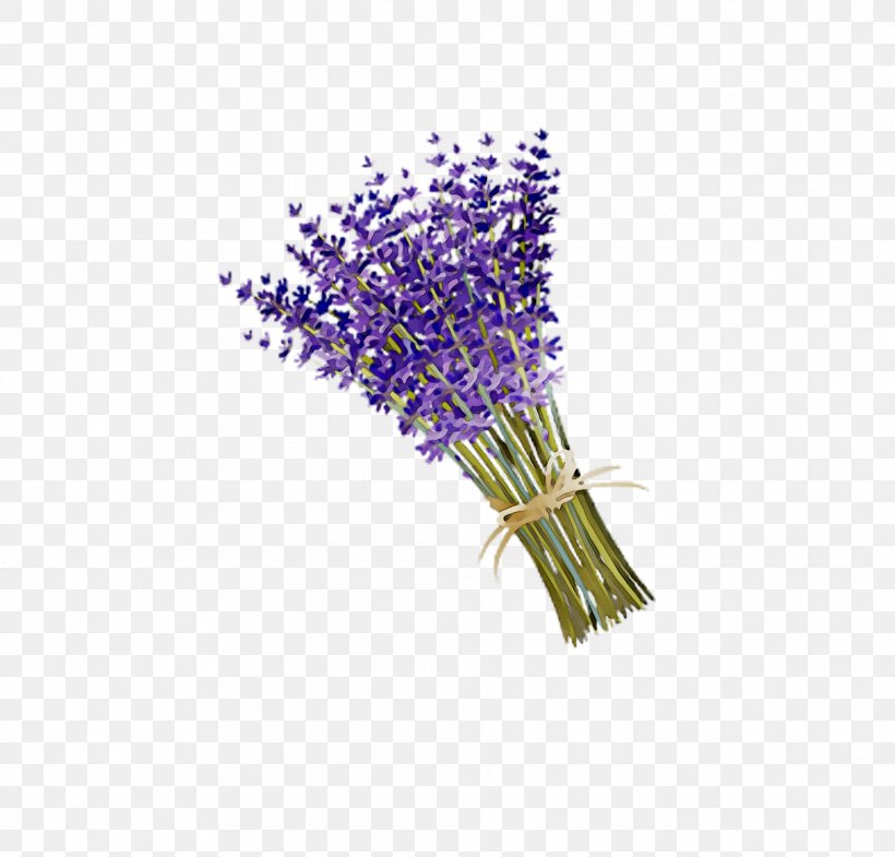 Lavender, PNG, 2081x1993px, Lavender, Buddleia, Cut Flowers, English Lavender, Flower Download Free