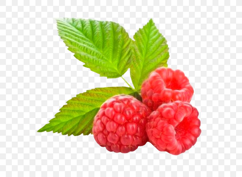 Organic Food Red Raspberry Juice, PNG, 600x600px, Organic Food, Berry, Blackberry, Boysenberry, Bramble Download Free