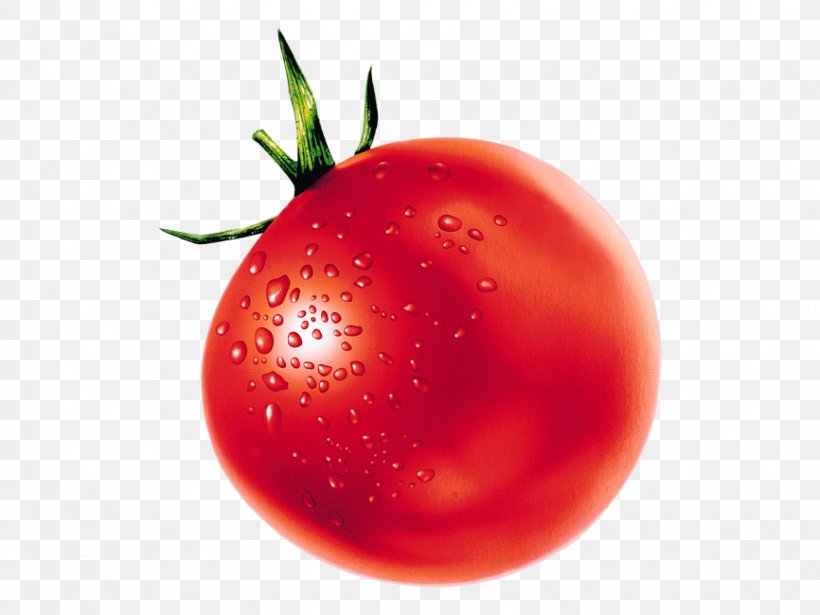 Tomato Soup Tomato Juice Plum Tomato Vegetable, PNG, 866x650px, Tomato Soup, Apple, Bush Tomato, Cherry Tomato, Diet Food Download Free