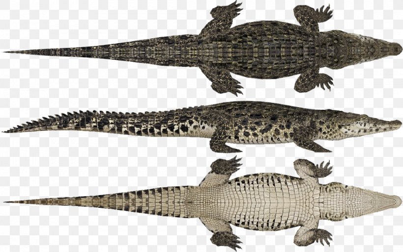 Zoo Tycoon 2: Dino Danger Pack Zoo Tycoon 2: Extinct Animals Crocodiles, PNG, 1107x695px, Zoo Tycoon, Alligator, American Crocodile, Apatosaurus, Crocodile Download Free