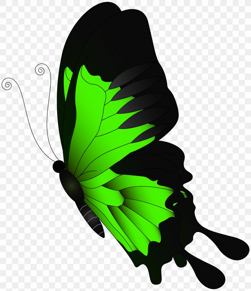 Butterfly Green Clip Art, PNG, 4323x5000px, Butterfly, Arthropod, Butterflies And Moths, Color, Digital Image Download Free